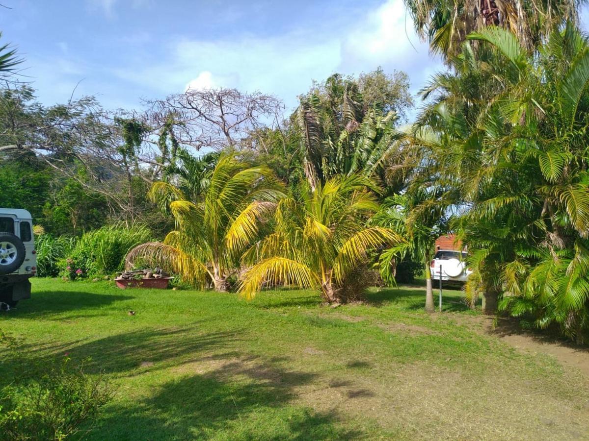 Un Cosy Sous Le Vent Villa Gourbeyre Exterior foto
